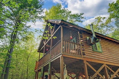 Discover a rare opportunity on Bill Green Pond with this - photo 36