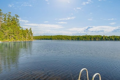Discover a rare opportunity on Bill Green Pond with this - photo 41