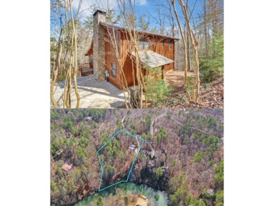 Lake Home For Sale in Ellijay, Georgia