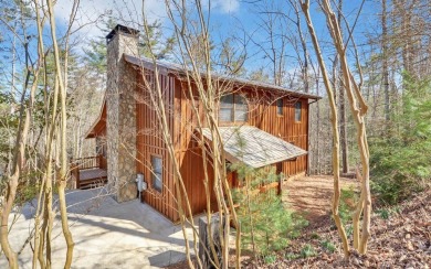 Lake Home For Sale in Ellijay, Georgia