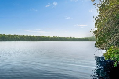 Discover a rare opportunity on Bill Green Pond with this - photo 42