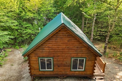 Discover a rare opportunity on Bill Green Pond with this - photo 44