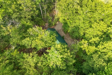 Discover a rare opportunity on Bill Green Pond with this - photo 48