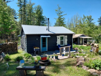 Updated Caroga Lake Getaway on 2 Lots -- Move-In Ready! - photo 1