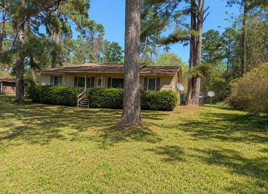 Nestled among the mature pines of Golden Acres near Houston - photo 1