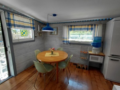 Updated Caroga Lake Getaway on 2 Lots -- Move-In Ready! - photo 18