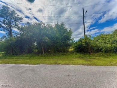 Lehigh Acres Area Lot For Sale in Fort Myers Florida