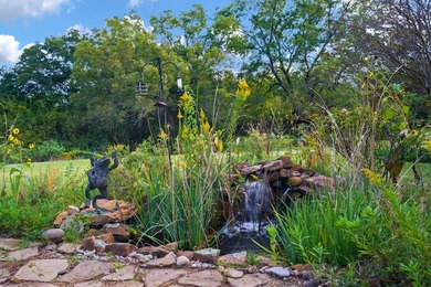 Discover this park-like sanctuary on 6.69 acres with no HOA - photo 28