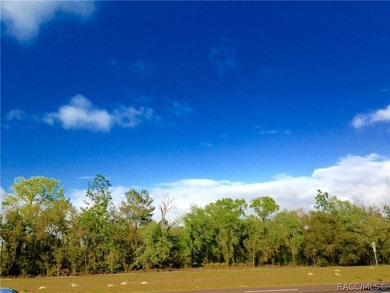 Explore the opportunities to discover your next great invesment - photo 31