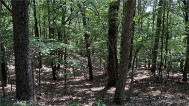 Lake Lot For Sale in Jasper, Georgia