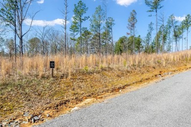 Lake Acreage For Sale in Talking Rock, Georgia