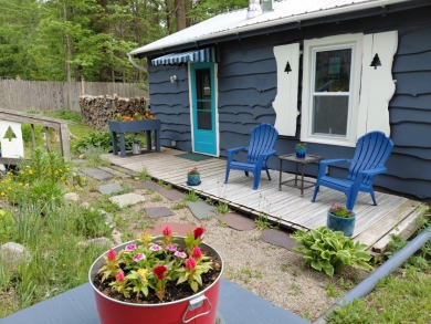 Updated Caroga Lake Getaway on 2 Lots -- Move-In Ready! - photo 13