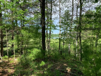 (private lake, pond, creek) Lot For Sale in Tomahawk Wisconsin