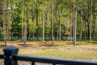 Experience the pinnacle of resort-style living at 2011 Shallow - photo 48