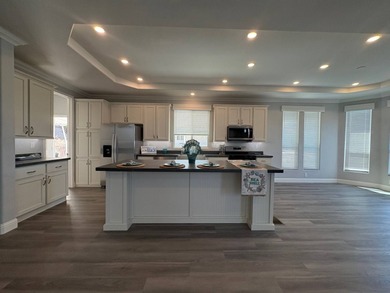 El Capitan Reservoir Home For Sale in Alpine California