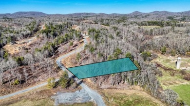 Lake Blue Ridge Lot For Sale in Morganton Georgia