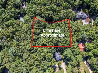 Lake Lot For Sale in Blairsville, Georgia