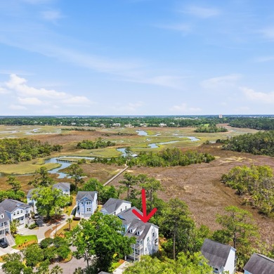 Welcome to this stunning elevated marsh front home on The Island - photo 6
