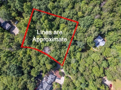 Lake Lot For Sale in Blairsville, Georgia