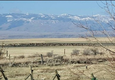 Welcome to The Elk Meadows Ranch located in Townsend, MT. Set on - photo 25