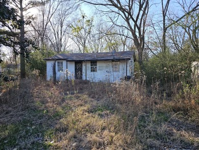 (private lake, pond, creek) Acreage For Sale in Oakland Tennessee