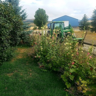 Welcome to The Elk Meadows Ranch located in Townsend, MT. Set on - photo 49