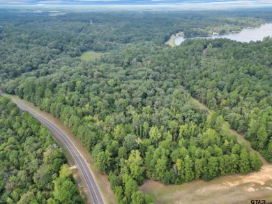 Lake Lot For Sale in Avinger, Texas