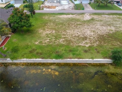 WATERFRONT lot on a FRESHWATER CANAL with an 80-foot concrete - photo 4