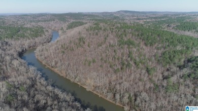 Tallapoosa River 39+/- Acre Wooded Tract which flows into Lake - Lake Acreage For Sale in Delta, Alabama