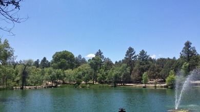 Just steps from the pool, pickleball courts and lakes, this cozy - photo 23