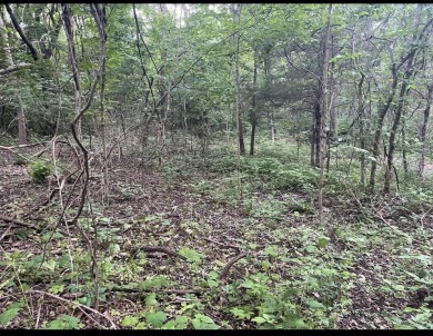 Lake Lot For Sale in Corinth, Kentucky