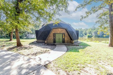 (private lake, pond, creek) Home For Sale in Tyler Texas