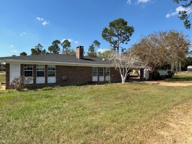 Lake Home For Sale in Donalsonville, Georgia