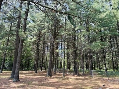 Looking for the perfect Up North getaway? This 2-bedroom, 2-bath - photo 30