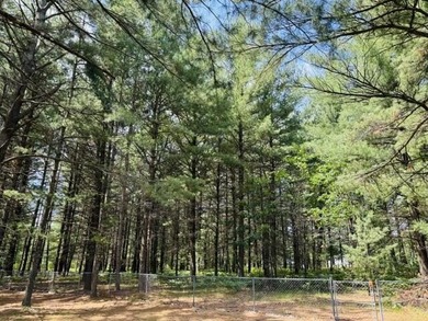 Looking for the perfect Up North getaway? This 2-bedroom, 2-bath - photo 31