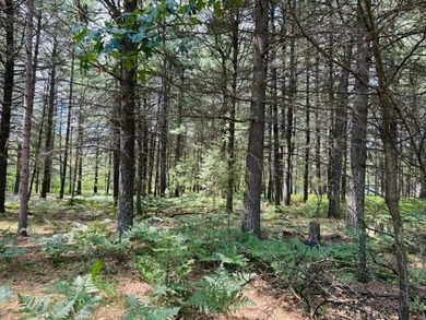 Looking for the perfect Up North getaway? This 2-bedroom, 2-bath - photo 32