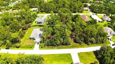 Port Charlotte Waterway Lakes Area Lot Sale Pending in Port Charlotte Florida