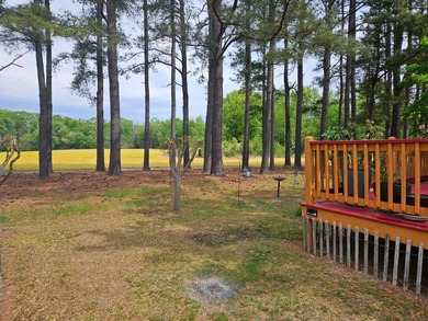 Come see this charming home located in the sought after 55+ - photo 3
