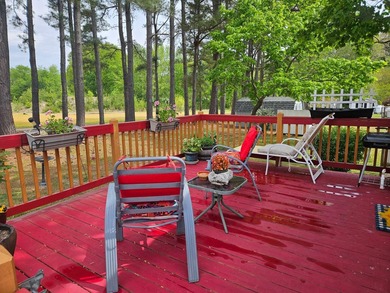 Come see this charming home located in the sought after 55+ - photo 4