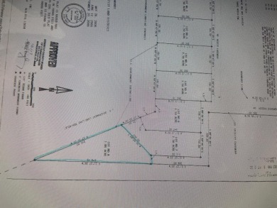  Lot For Sale in Donalsonville Georgia