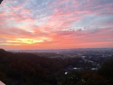 Tennessee River - Hamilton County Condo For Sale in Chattanooga Tennessee