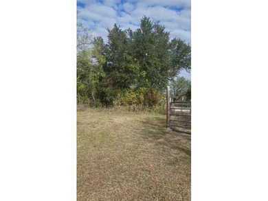 Lake Acreage For Sale in Morgan, Texas