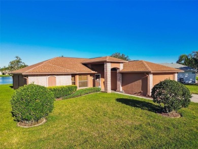 (private lake, pond, creek) Home Sale Pending in Trinity Florida