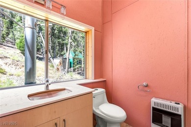 The 4200 (+/-) Sq. Ft. 3 Bedroom Cabin is situated on one of the - photo 33