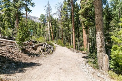 The 4200 (+/-) Sq. Ft. 3 Bedroom Cabin is situated on one of the - photo 38