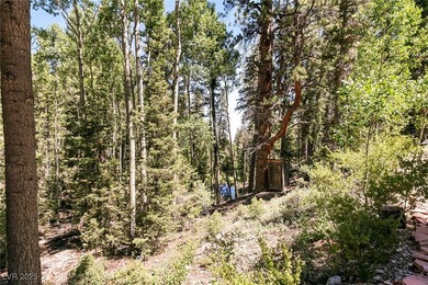 The 4200 (+/-) Sq. Ft. 3 Bedroom Cabin is situated on one of the - photo 39