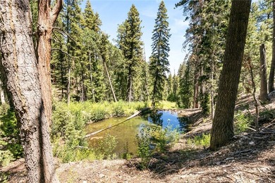 The 4200 (+/-) Sq. Ft. 3 Bedroom Cabin is situated on one of the - photo 40
