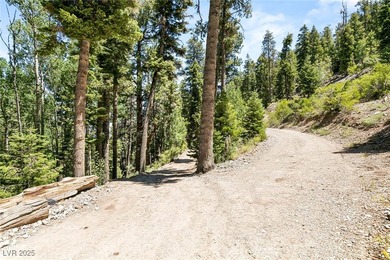 The 4200 (+/-) Sq. Ft. 3 Bedroom Cabin is situated on one of the - photo 41