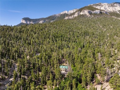 The 4200 (+/-) Sq. Ft. 3 Bedroom Cabin is situated on one of the - photo 43