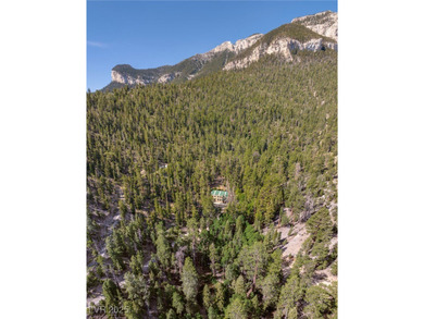 The 4200 (+/-) Sq. Ft. 3 Bedroom Cabin is situated on one of the - photo 44